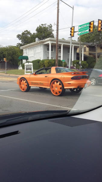 morning picdump 53 pics 24.html - 53 HD Photos | Premium Gallery 2016