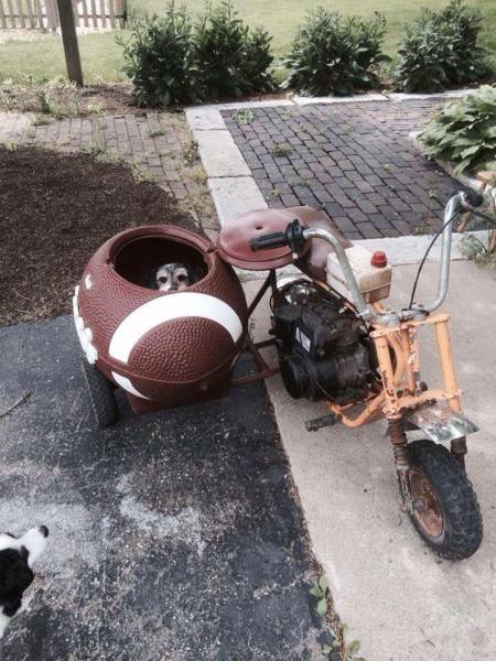 morning picdump 53 pics 24.html - 53 HD Photos | Premium Gallery 2016