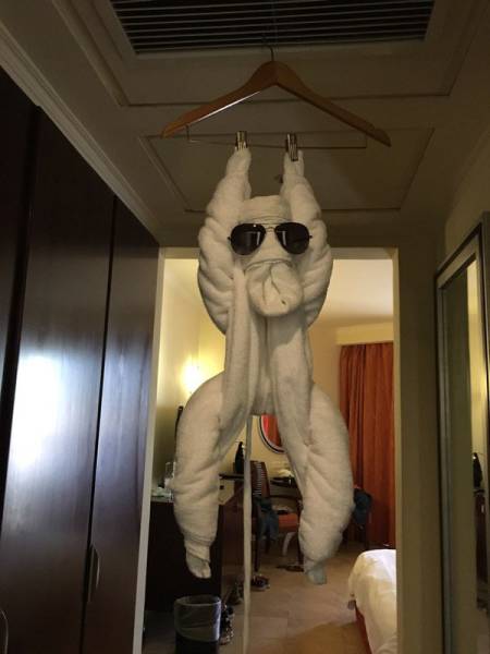 morning picdump 53 pics 24.html - 53 HD Photos | Premium Gallery 2016