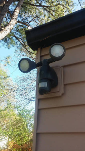 morning picdump 53 pics 24.html - 53 HD Photos | Premium Gallery 2016