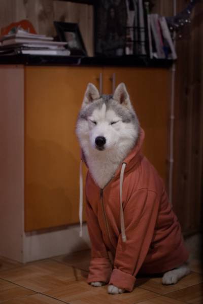 morning picdump 53 pics 24.html - 53 HD Photos | Premium Gallery 2016