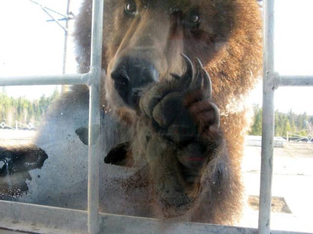 daily picdump 93 pics 36.html - 93 HD Photos | Premium Gallery 2016