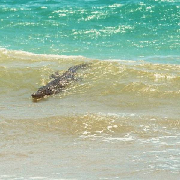 daily picdump 93 pics 36.html - 93 HD Photos | Premium Gallery 2016