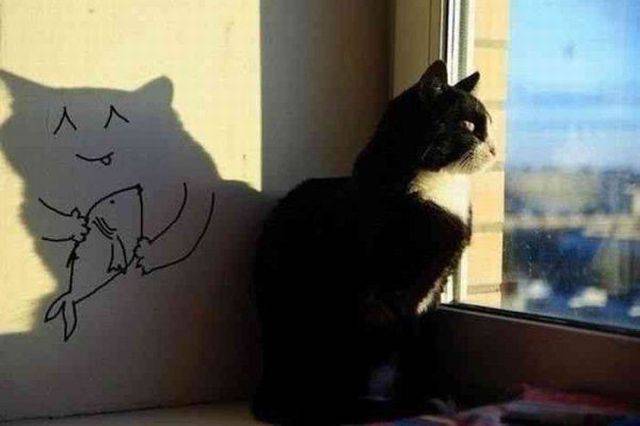 daily picdump 93 pics 36.html - 93 HD Photos | Premium Gallery 2016