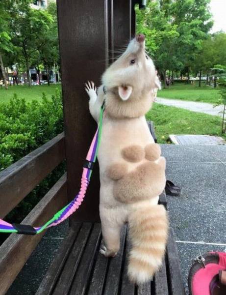 daily picdump 93 pics 36.html - 93 HD Photos | Premium Gallery 2016