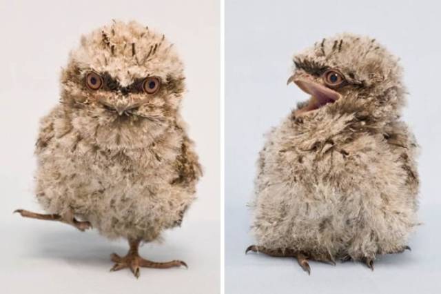 morning picdump 53 pics 21.html - 53 HD Photos | Premium Gallery 2016