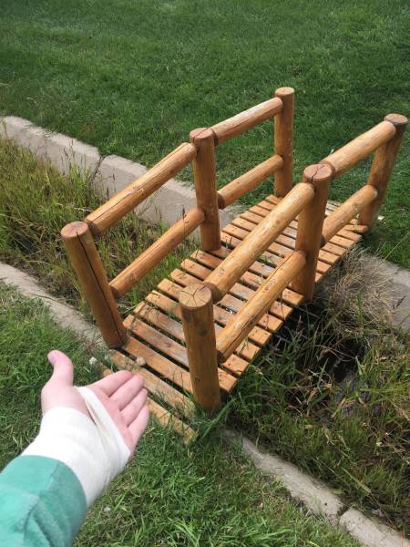 morning picdump 53 pics 21.html - 53 HD Photos | Premium Gallery 2016