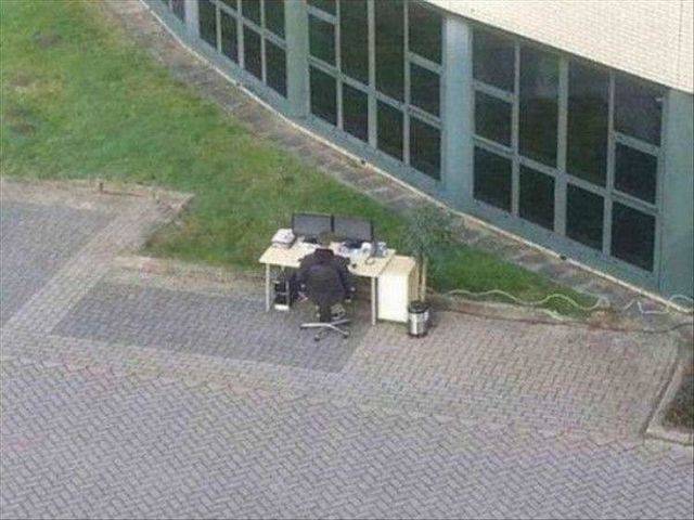 Daily Picdump