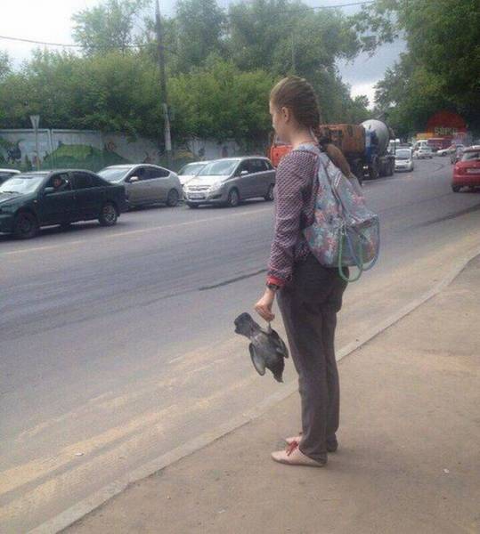 Daily Picdump