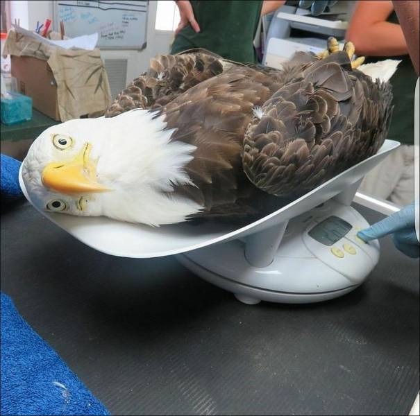 Daily Picdump