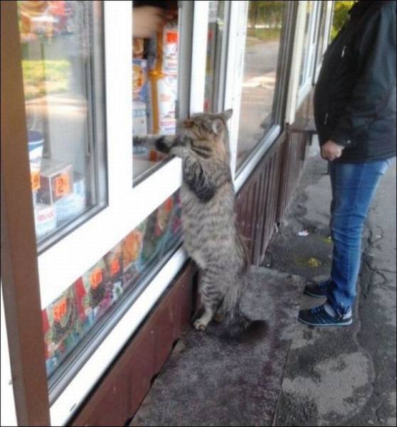 Daily Picdump