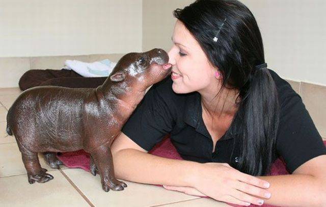 daily picdump 101 pics 39.html - 101 HD Photos | Premium Gallery 2016