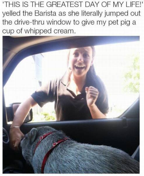 daily picdump 101 pics 39.html - 101 HD Photos | Premium Gallery 2016