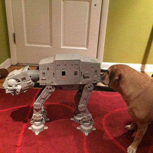 daily picdump 101 pics 39.html - 101 HD Photos | Premium Gallery 2016