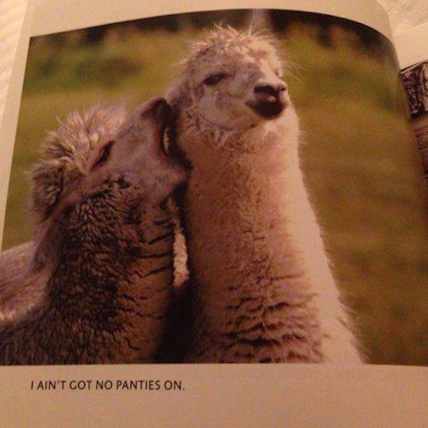 daily picdump 101 pics 39.html - 101 HD Photos | Premium Gallery 2016