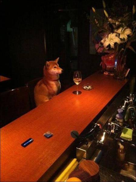 daily picdump 101 pics 39.html - 101 HD Photos | Premium Gallery 2016