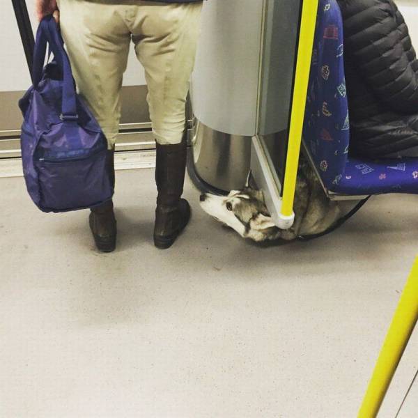 daily picdump 101 pics 39.html - 101 HD Photos | Premium Gallery 2016