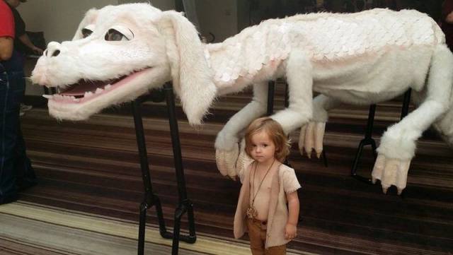 daily picdump 101 pics 39.html - 101 HD Photos | Premium Gallery 2016