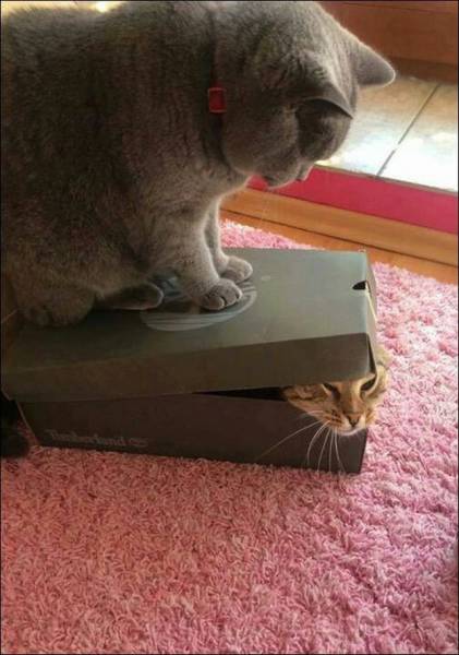 daily picdump 101 pics 39.html - 101 HD Photos | Premium Gallery 2016