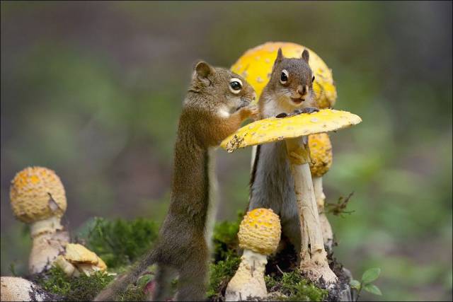 daily picdump 101 pics 39.html - 101 HD Photos | Premium Gallery 2016