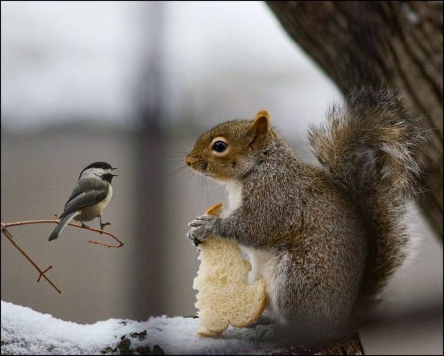 daily picdump 101 pics 39.html - 101 HD Photos | Premium Gallery 2016