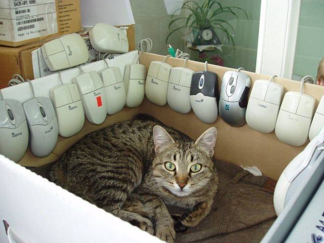 daily picdump 101 pics 39.html - 101 HD Photos | Premium Gallery 2016