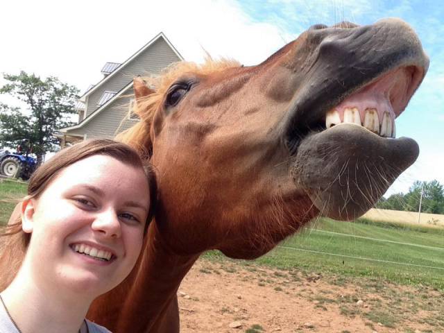 morning picdump 52 pics 3.html - 52 HD Photos | Premium Gallery 2016