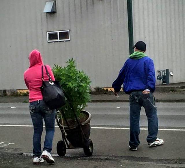 morning picdump 52 pics 3.html - 52 HD Photos | Premium Gallery 2016