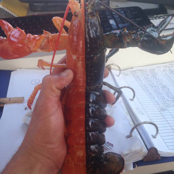 morning picdump 52 pics 3.html - 52 HD Photos | Premium Gallery 2016