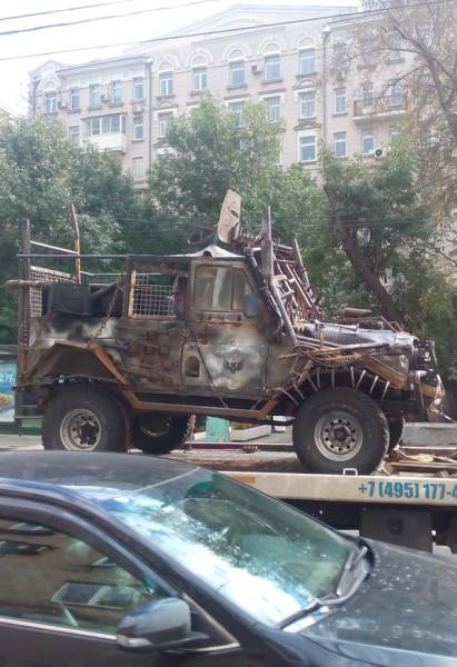 Daily Picdump [WEEKEND EDITION]