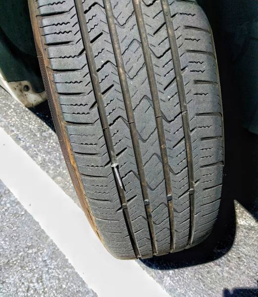 Daily Picdump [WEEKEND EDITION]