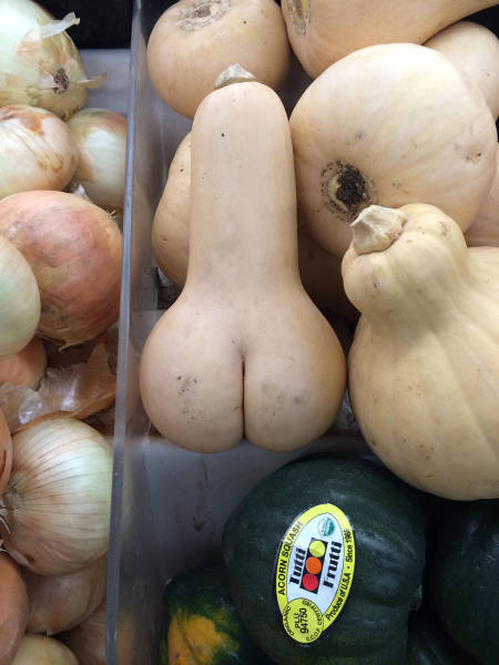 daily picdump weekend edition 56 pics 3.html - 56 HD Photos | Premium Gallery 2016