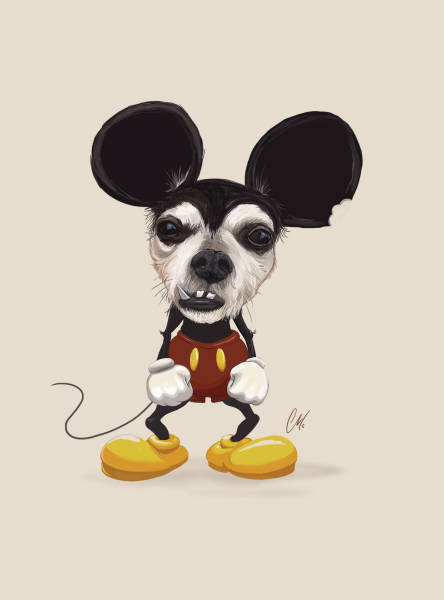 daily picdump weekend edition 56 pics 3.html - 56 HD Photos | Premium Gallery 2016