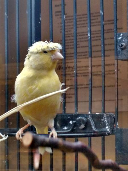 daily picdump 93 pics 42.html - 93 HD Photos | Premium Gallery 2016