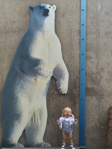 daily picdump 93 pics 42.html - 93 HD Photos | Premium Gallery 2016