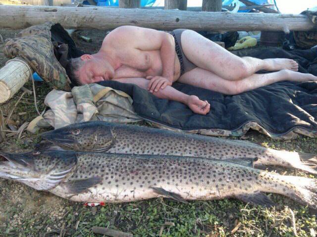 daily picdump 93 pics 42.html - 93 HD Photos | Premium Gallery 2016