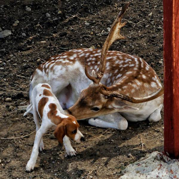 daily picdump 93 pics 42.html - 93 HD Photos | Premium Gallery 2016