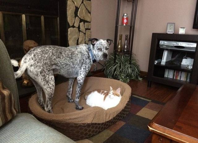 daily picdump 93 pics 42.html - 93 HD Photos | Premium Gallery 2016