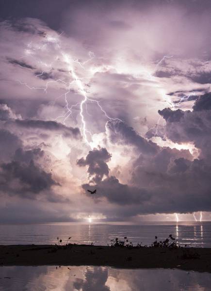 daily picdump 93 pics 42.html - 93 HD Photos | Premium Gallery 2016