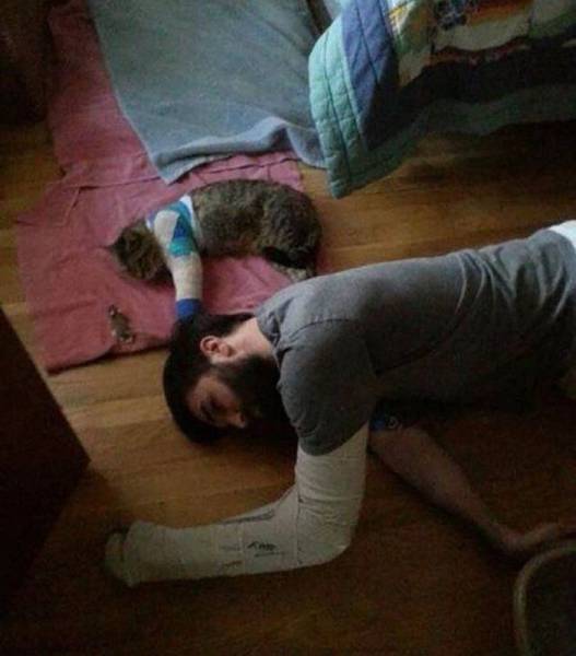 daily picdump 93 pics 42.html - 93 HD Photos | Premium Gallery 2016