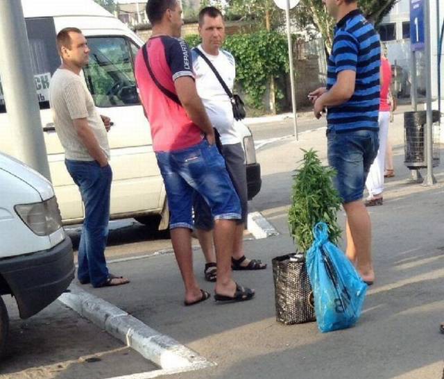 daily picdump 93 pics 42.html - 93 HD Photos | Premium Gallery 2016