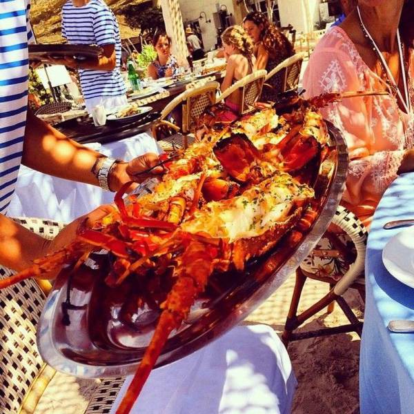 daily picdump 93 pics 29.html - 93 HD Photos | Premium Gallery 2016