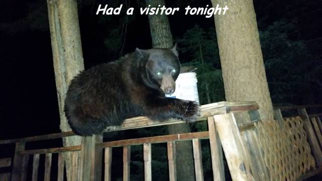 daily picdump 93 pics 29.html - 93 HD Photos | Premium Gallery 2016