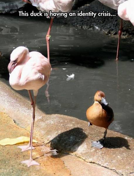 daily picdump 93 pics 29.html - 93 HD Photos | Premium Gallery 2016