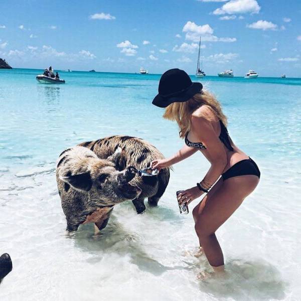 daily picdump 93 pics 29.html - 93 HD Photos | Premium Gallery 2016