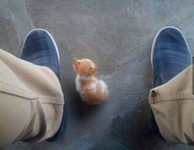 daily picdump 93 pics 29.html - 93 HD Photos | Premium Gallery 2016