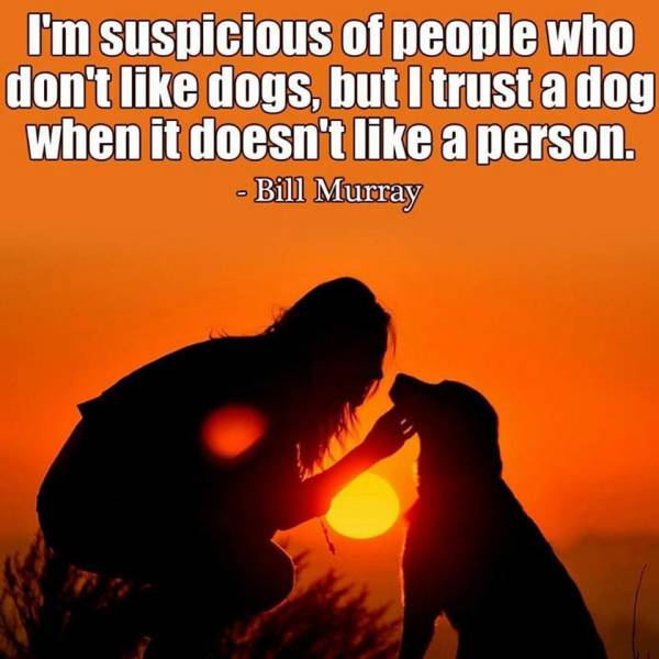 daily picdump 93 pics 29.html - 93 HD Photos | Premium Gallery 2016