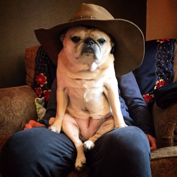 daily picdump 93 pics 29.html - 93 HD Photos | Premium Gallery 2016