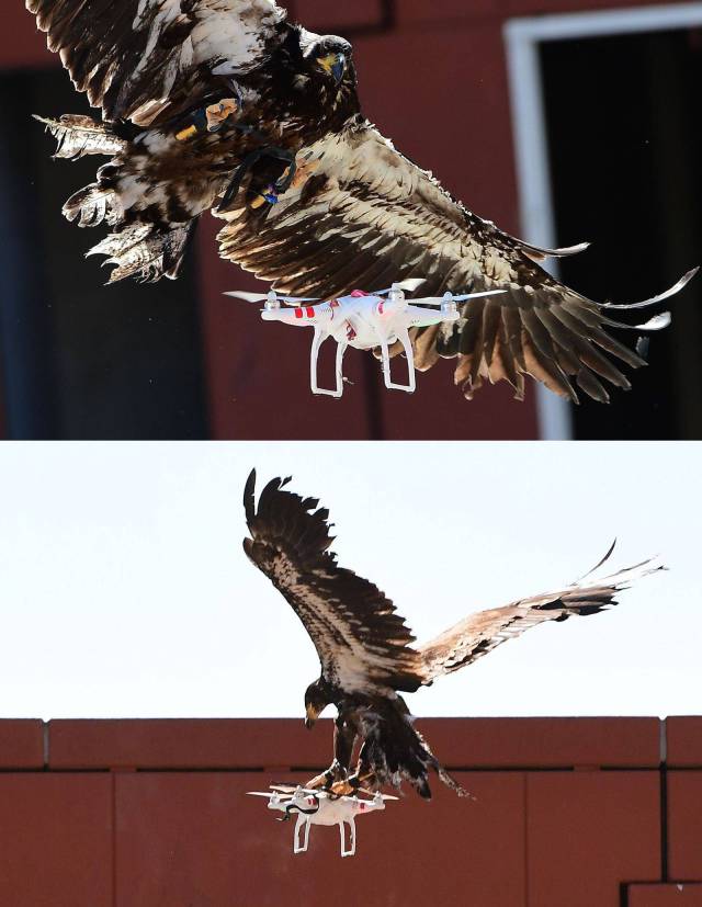 daily picdump 93 pics 29.html - 93 HD Photos | Premium Gallery 2016