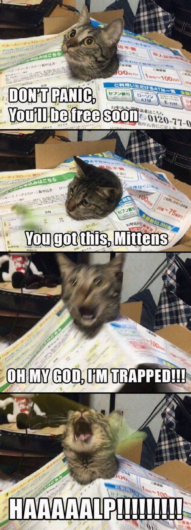 daily picdump 93 pics 29.html - 93 HD Photos | Premium Gallery 2016